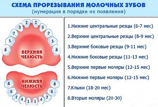 Тест проблем полости рта