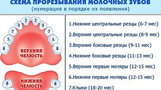 Режутся зубы в 3 года. Режутся зубы в 3 года. Режутся зубы в 3 года. Режутся зубы в 3 года. Режутся зубы в 3 года.