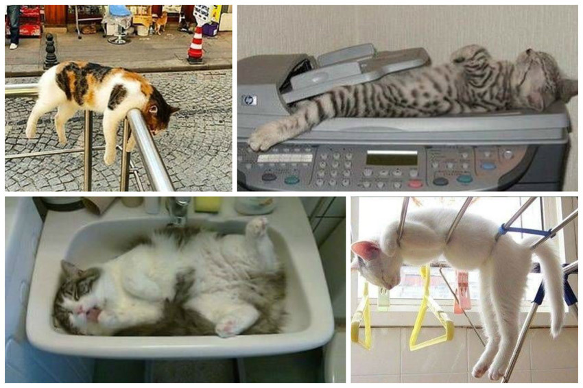 
 А погулять на природе? Красота же!