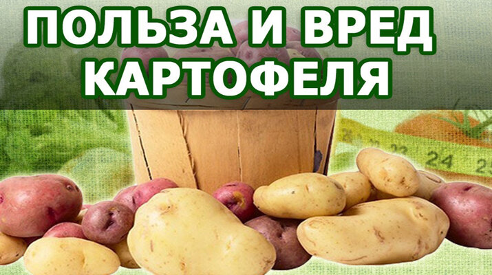 Картофельный спас какого числа