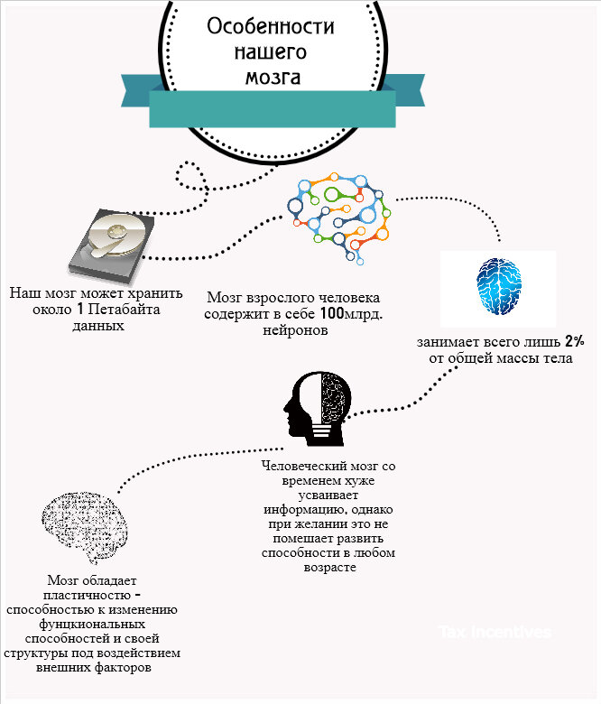 Получить мозги. Как мозг обрабатывает информацию. Поступление информации в мозг. Мозг и информация. Переработка информации мозгом.