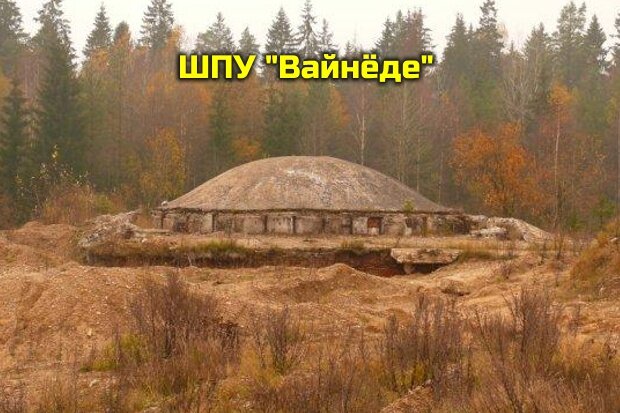 Вайнеде латвия