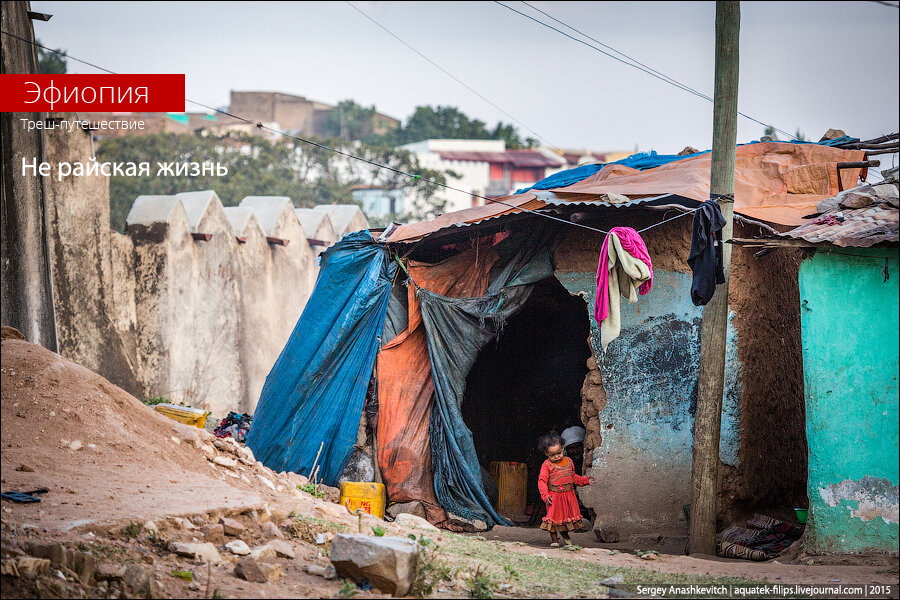 эфиопия сейчас. африка эфиопия. боран оромо. африканские жилища. быт народов эфиопии.