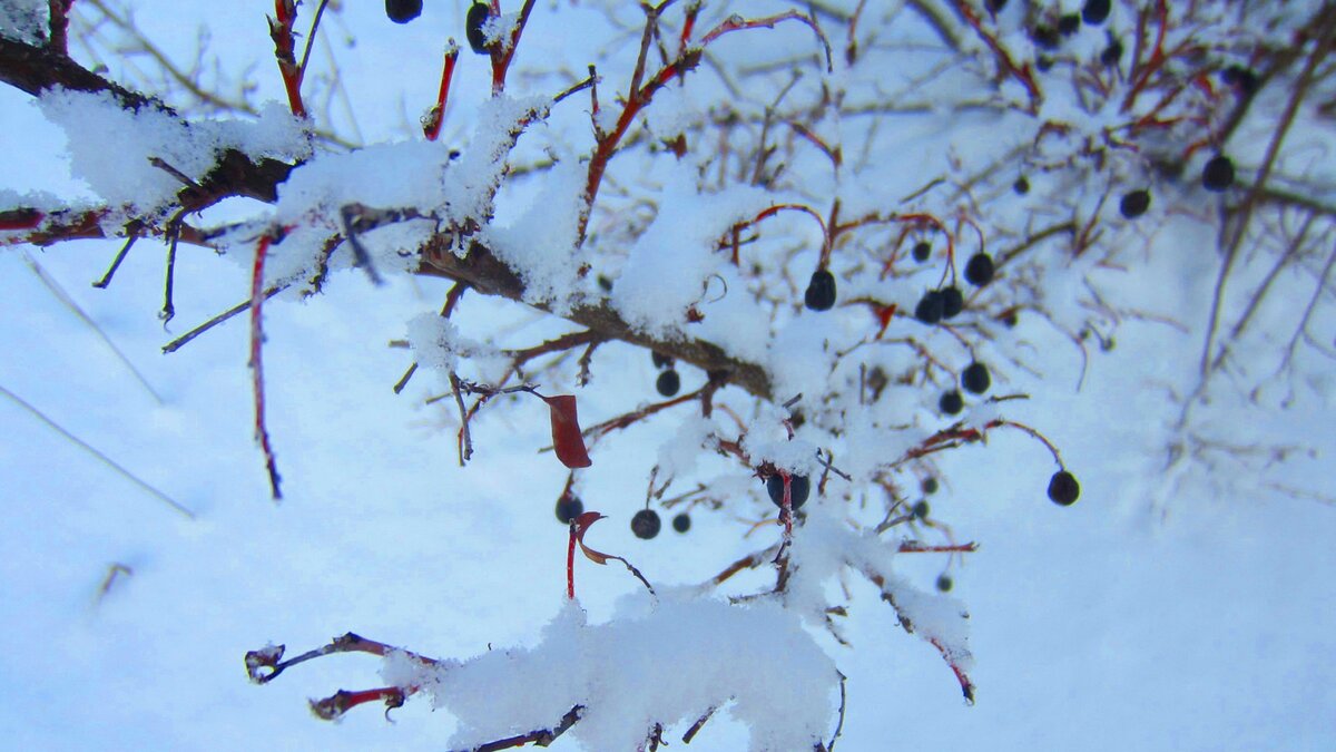 Конец зимы 2024. Картина константина федоровича юона конец зимы полдень. Межа граница рубеж. Февраль конец зимы. Конец зимы 2024.