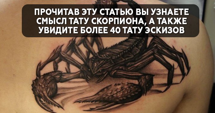 Значение тату скорпион