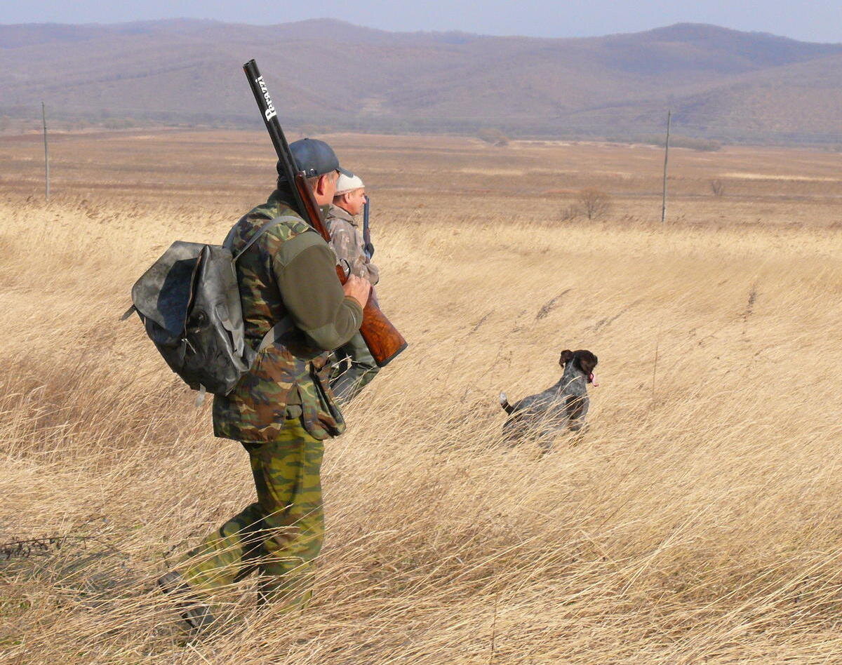 Go hunt