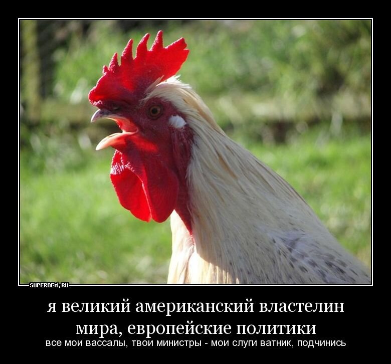 изображение из сети интернет и в свободном доступе