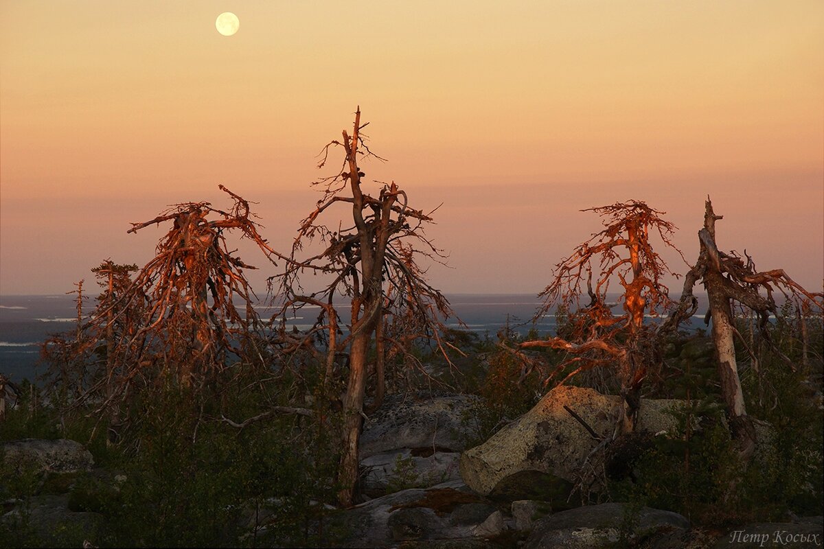 Фото Петра Косых
