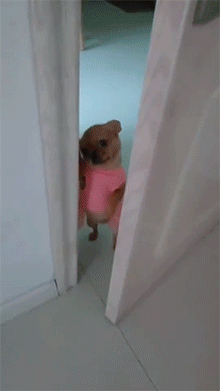 -5