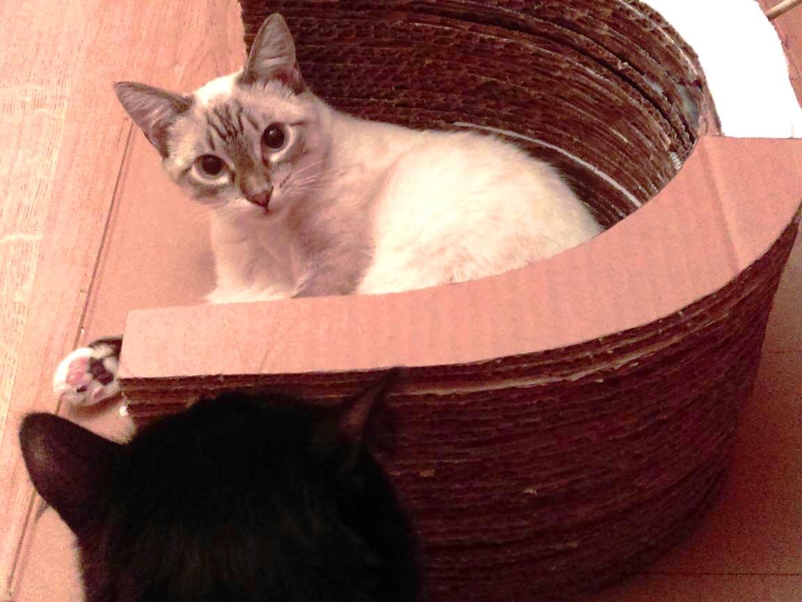 Что значит по очереди?