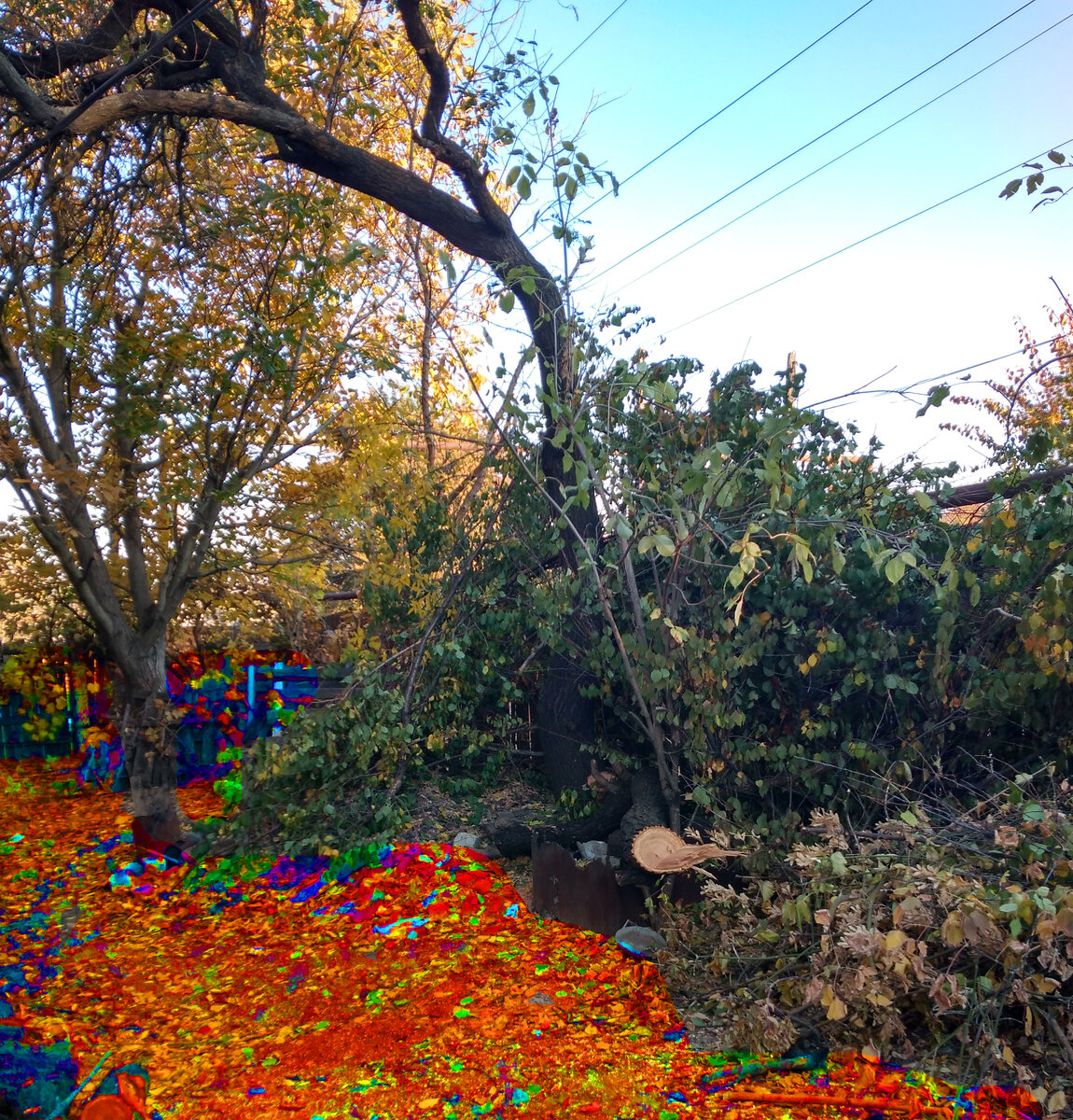 Две реальности