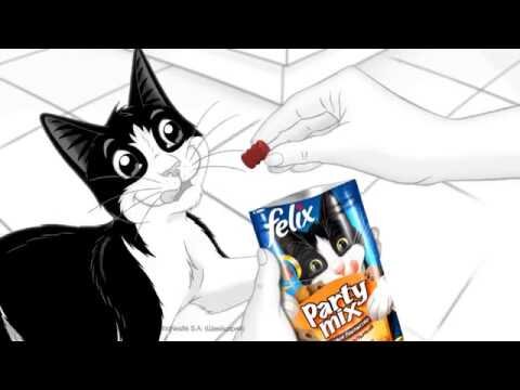 Кот Феликс из рекламы (фото взято из интернета) 