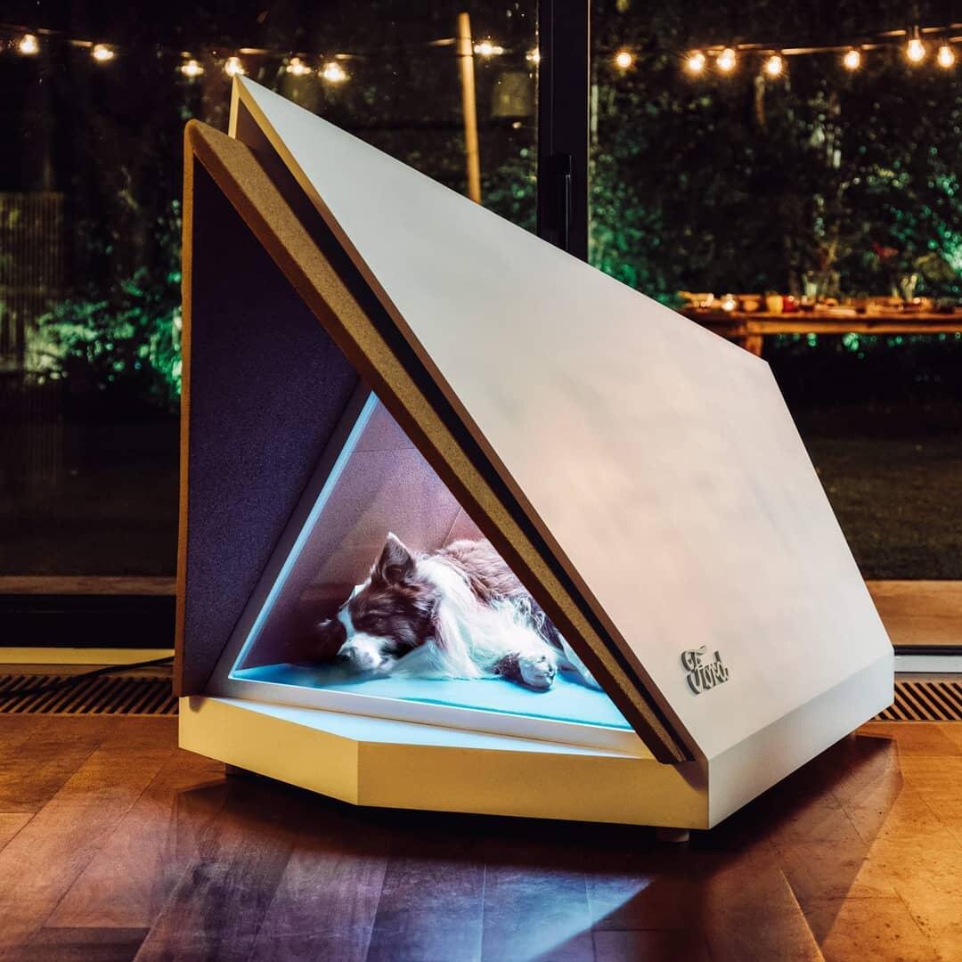 Фото by Ford Europe https://www.instagram.com/p/Brhakz2Hqb8/ 