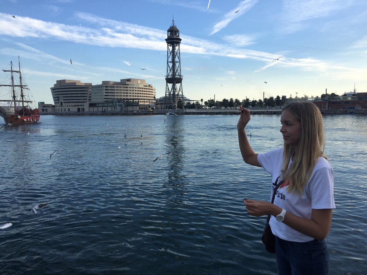 Чайки в старом порту не хотят больше ловить хлеб. Октябрь 2018 года.