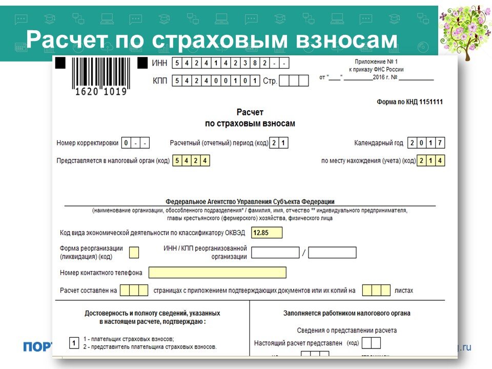 Отчетность в ифнс в 2023 году