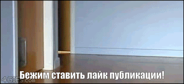 Кажется они хотят поставить лайк!  /Исходный Gif взят из свободных ресурсов. 4gifs.com/  