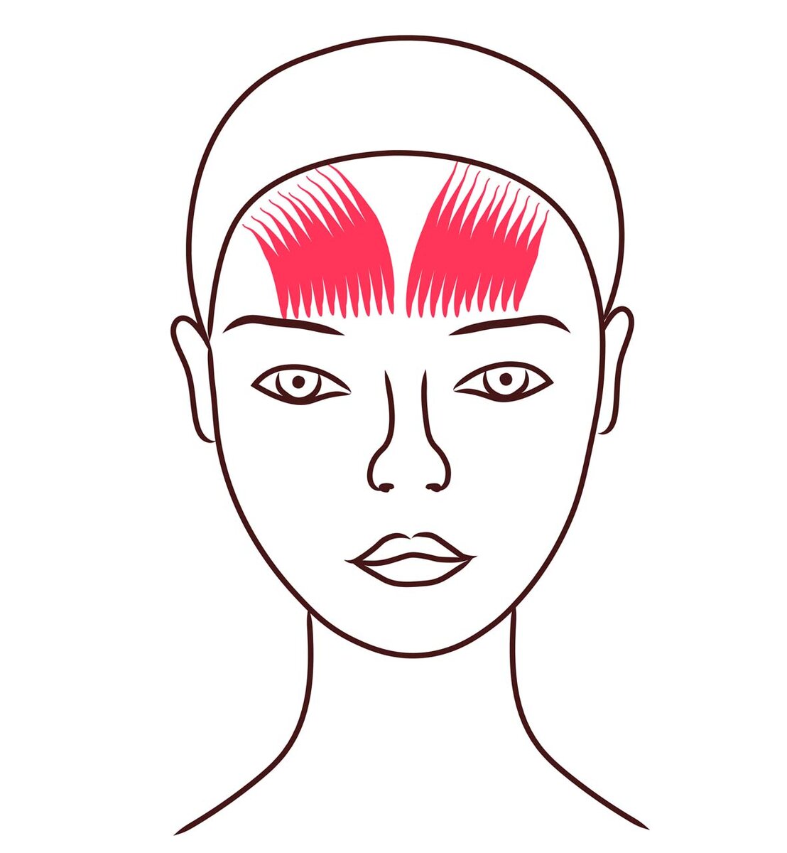                                                                                                                                     рисунок автора