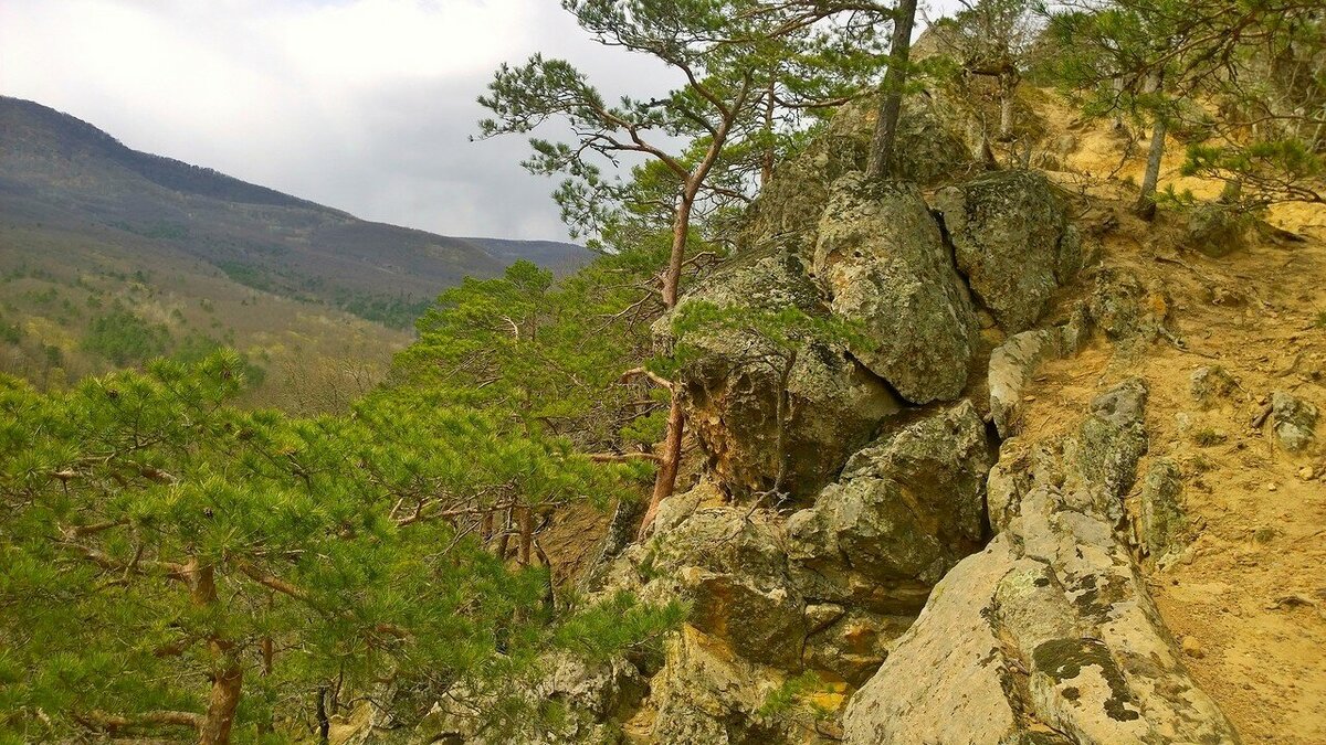 Планческие скалы краснодарский край фото