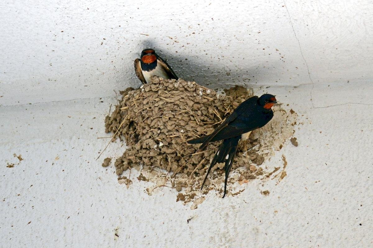 фото взято из открытых источников