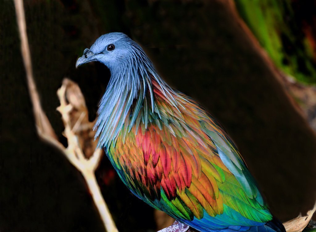 Сам в шоке от своей красоты! 