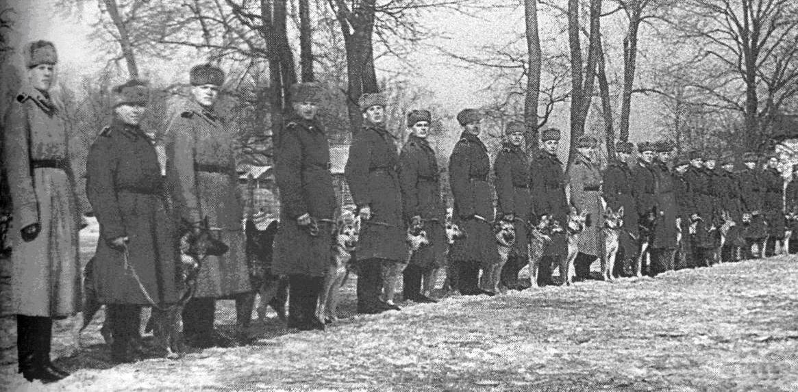 Центральная школа служебного собаководства (Терлецкая дубрава)