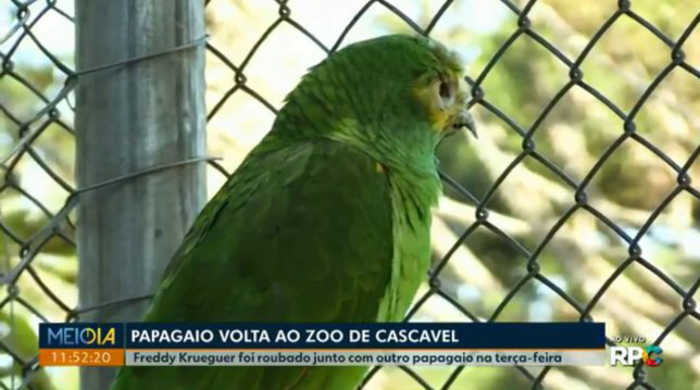 Фото взято с сайта: globo.com 