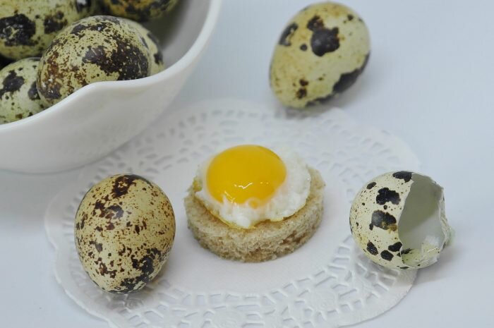 Перепелиные яйца также могут быть заражены сальмонеллой (Фото: Pixabay.com)