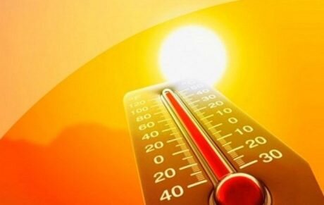 Фото: enovosty.com