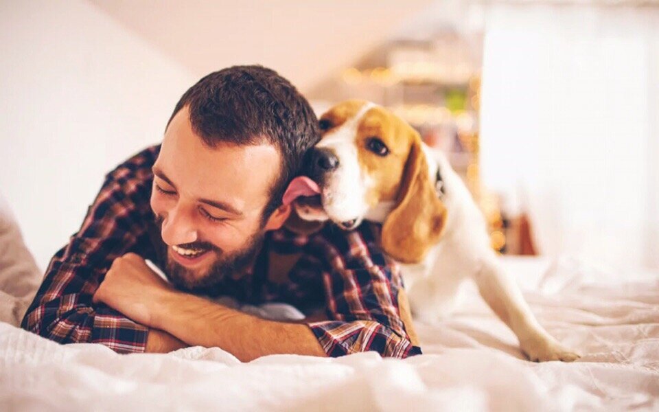 Твой гороскоп, знаки зодиака,астрология, гороскоп для женщин