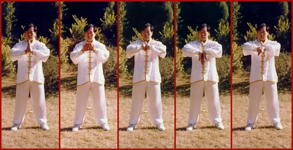 Практика цигун в исполнении мастера Сюи Минтана