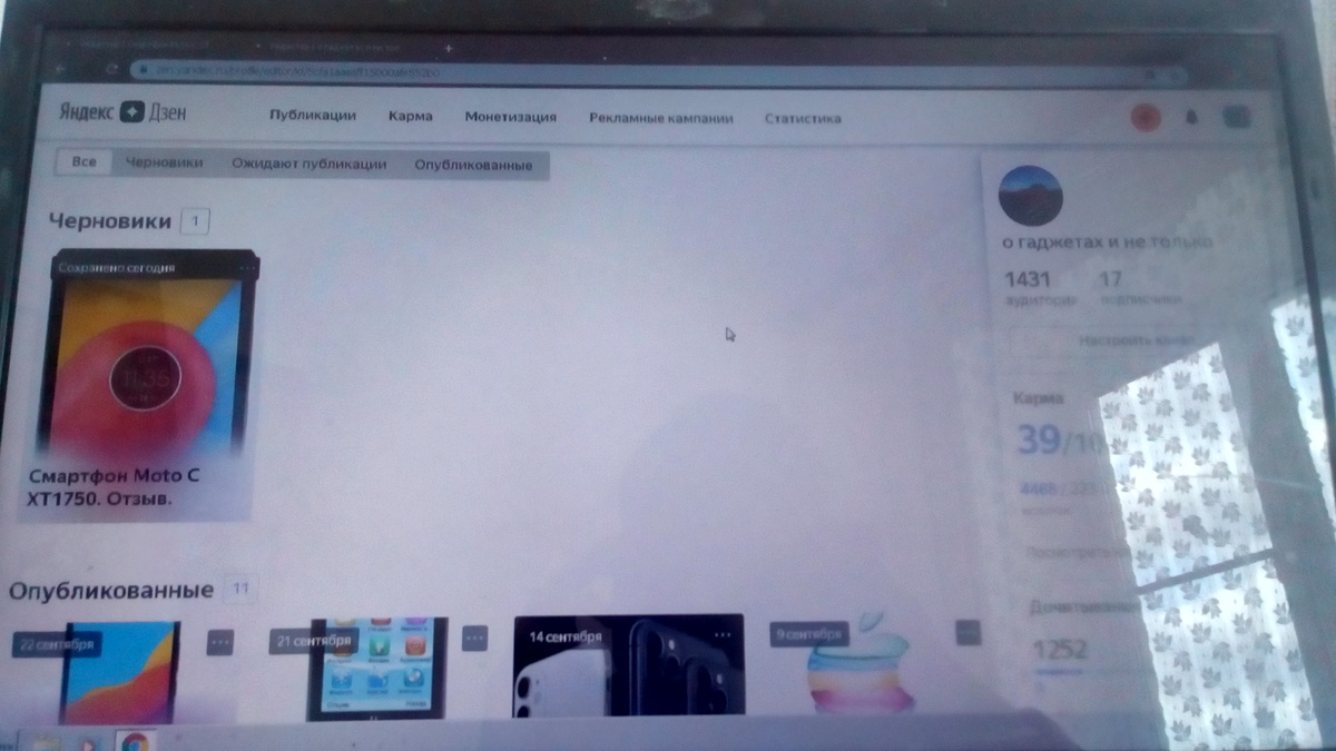 пример фото на основную камеру