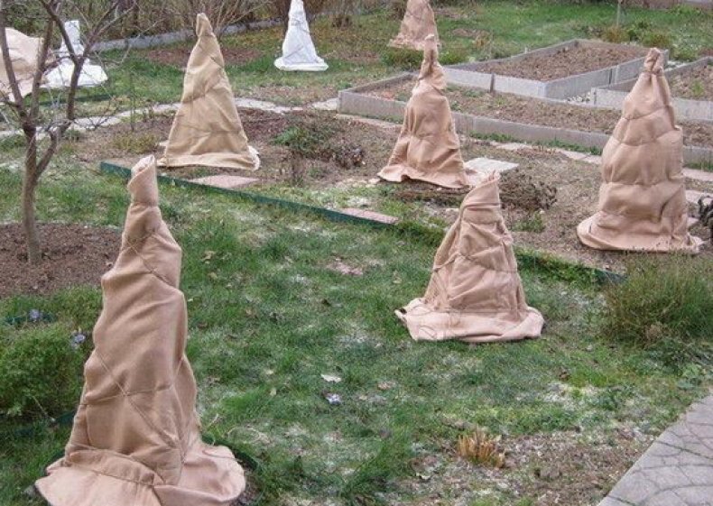 фото из интернета