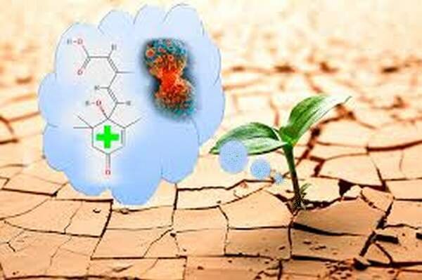 Фото с https://www.pinterest.ru/