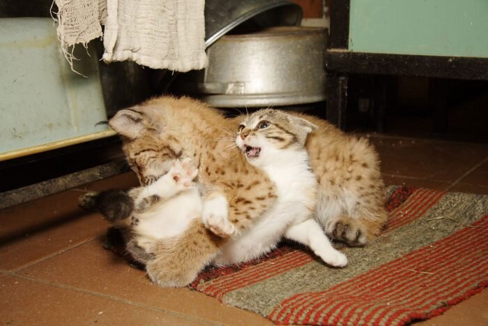 Источник: paperpaper.ru