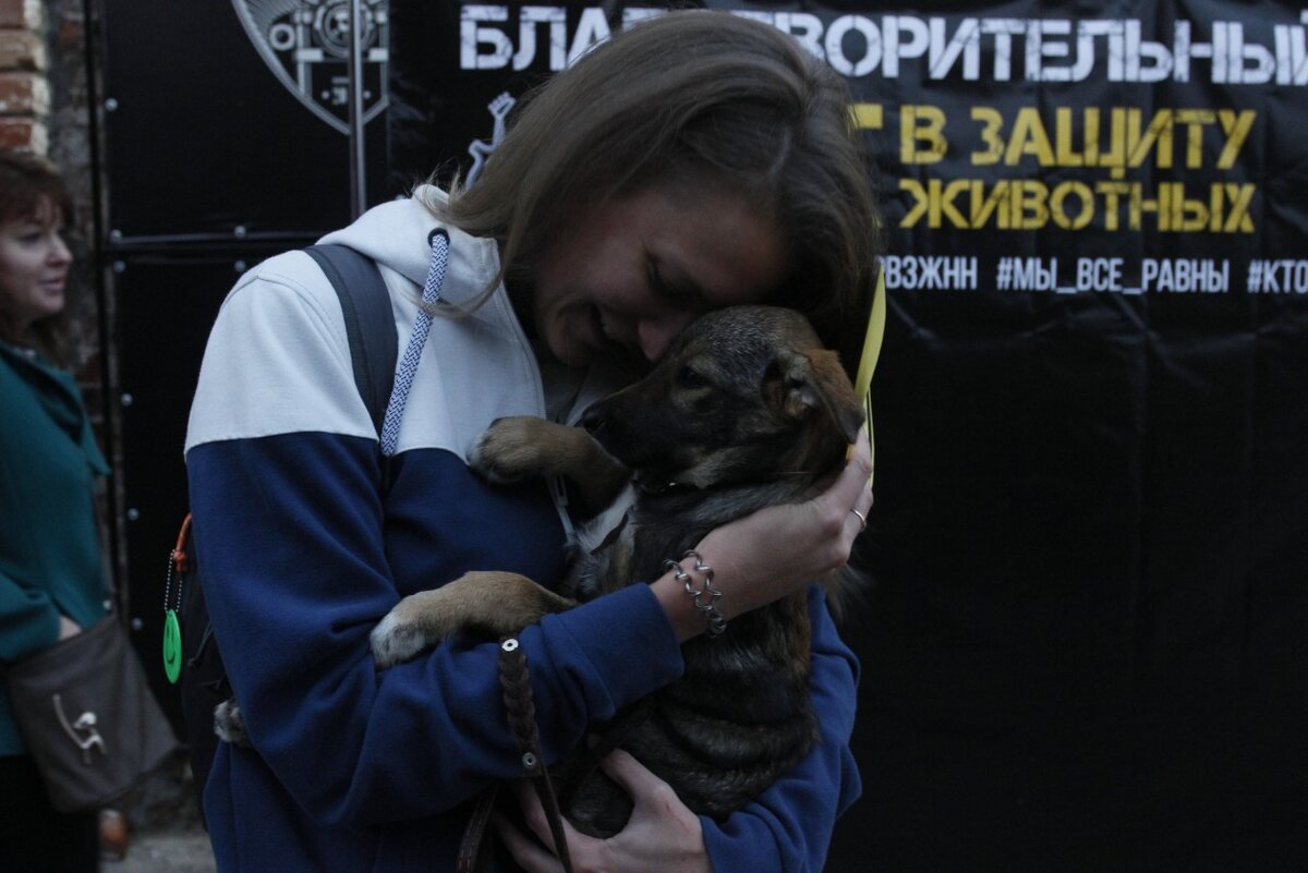 Фото с фестиваля Рок в защиту животных, Нижний Новгород