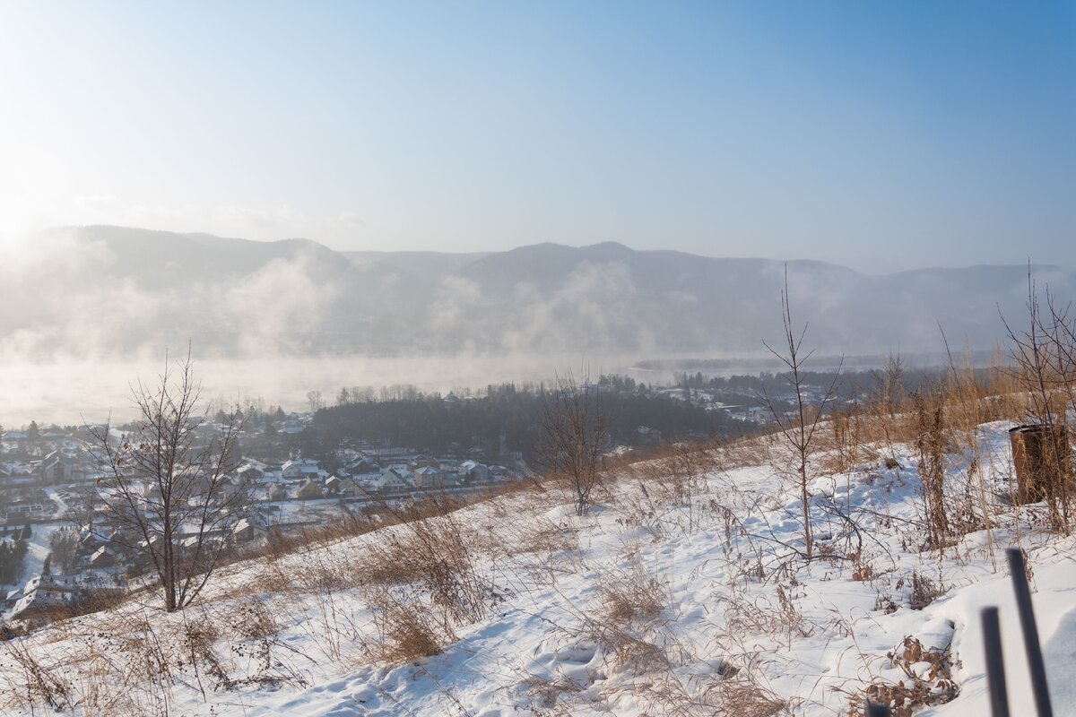 Фото: Дикий Лис