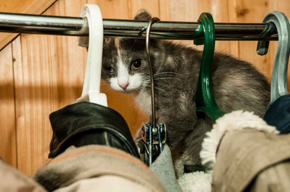 Вот  этой барышне компания нужна всегда!