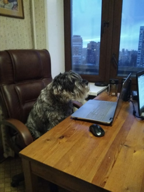 Вот в кого превращается консультант после рабочего дня