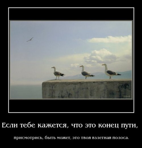 Фото из открытого источника. 