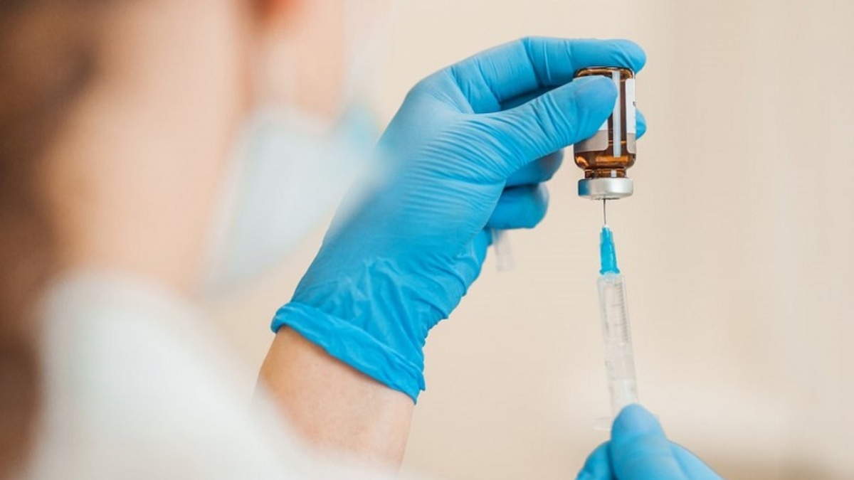 Фотография с сервиса Яндекс картинки.