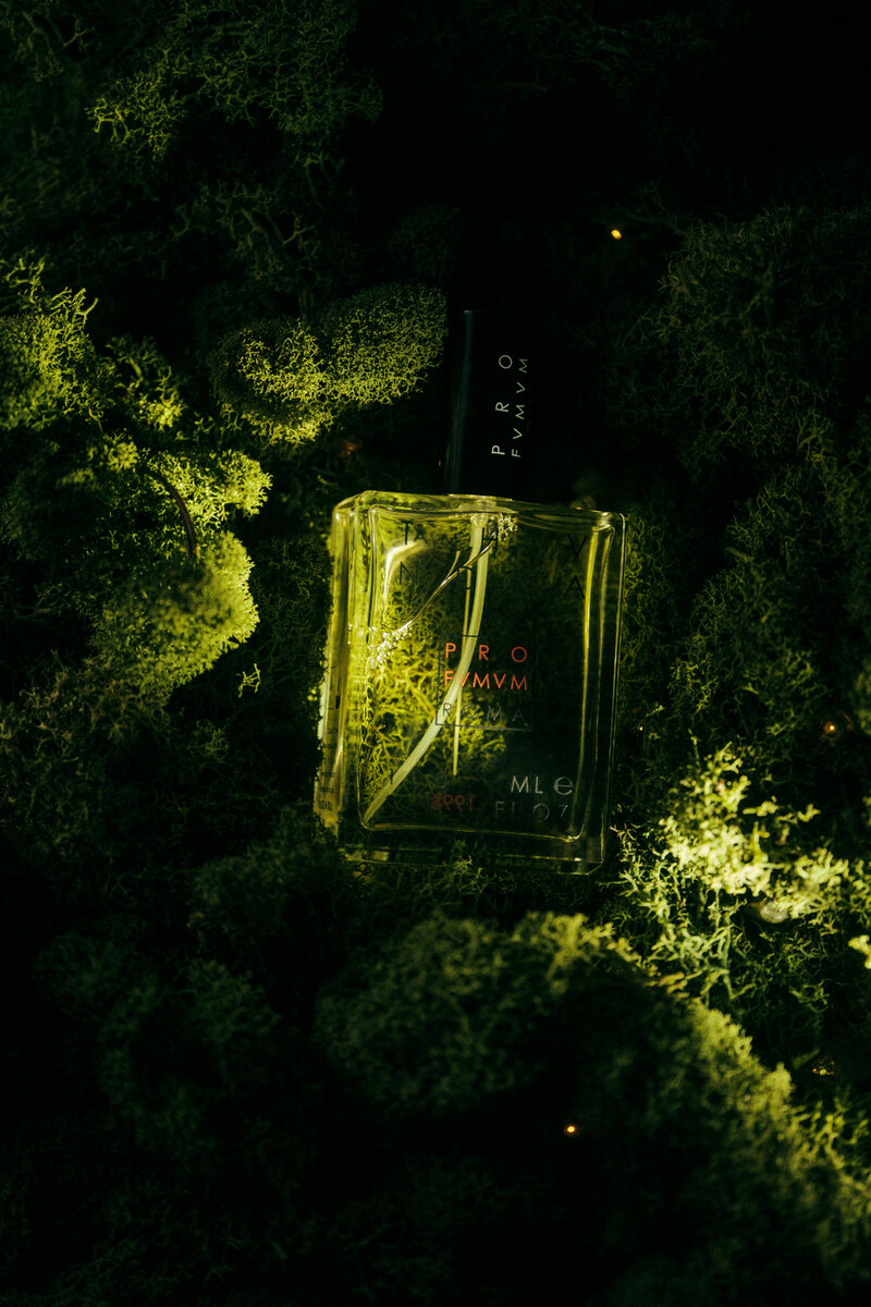 PROFUMUM ROMA - THUNDRA фото @anna_ulianova