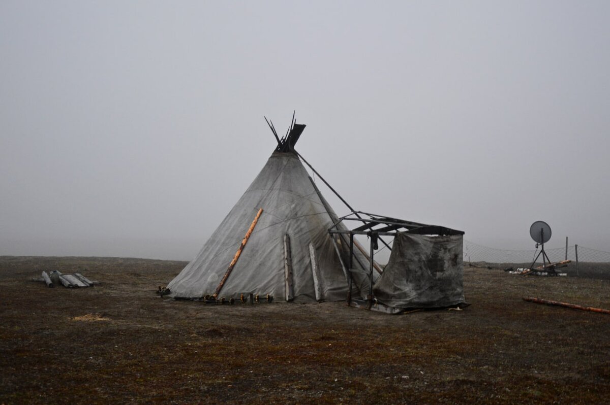 Фото: Михаил Пустовой