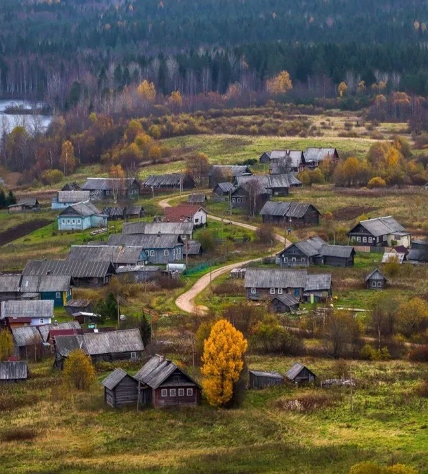 Деревенская наивная простота | Истории от бабули | Дзен
