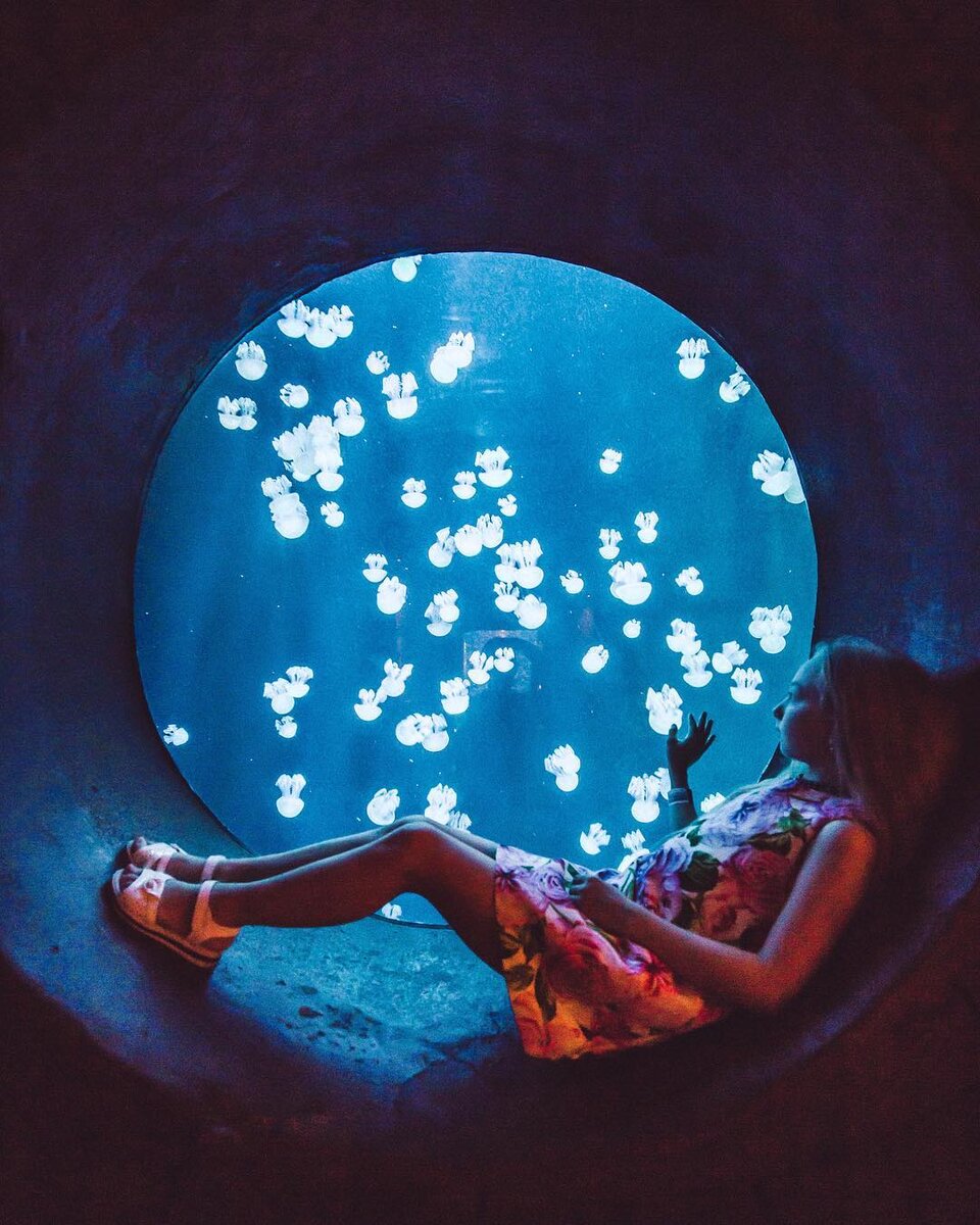 Моя племянница релаксирует на медуз.