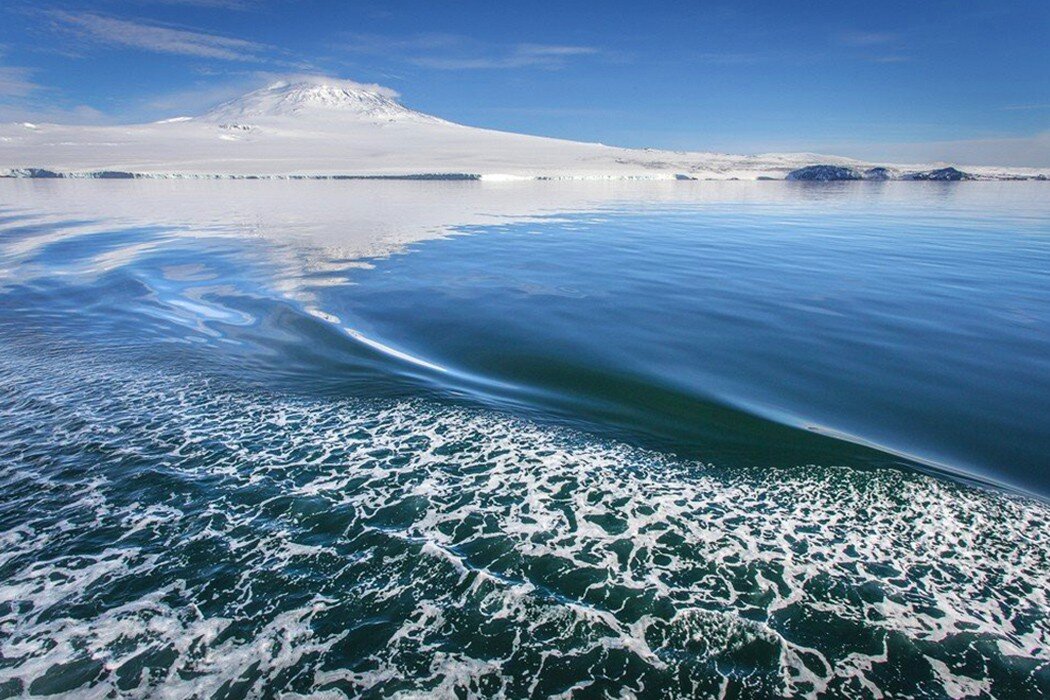 Море росса какой океан. Море Росса Антарктида. Море Рисер-Ларсена. Южный Ледовитый океан. Море Росса моря Южного океана.