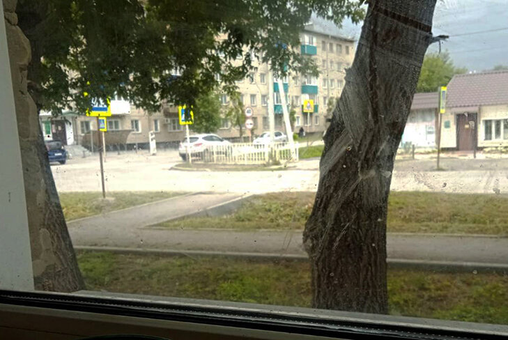    Фото Горсайт