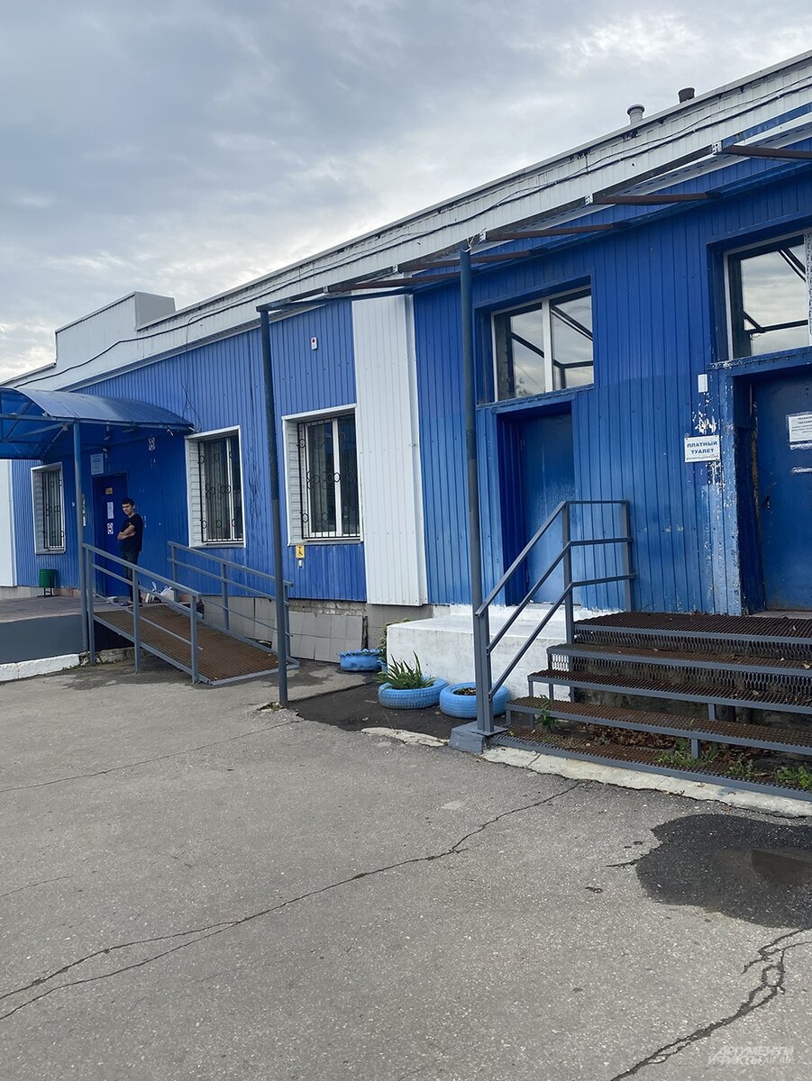    Фото:  АиФ/ Алла Грибинюк