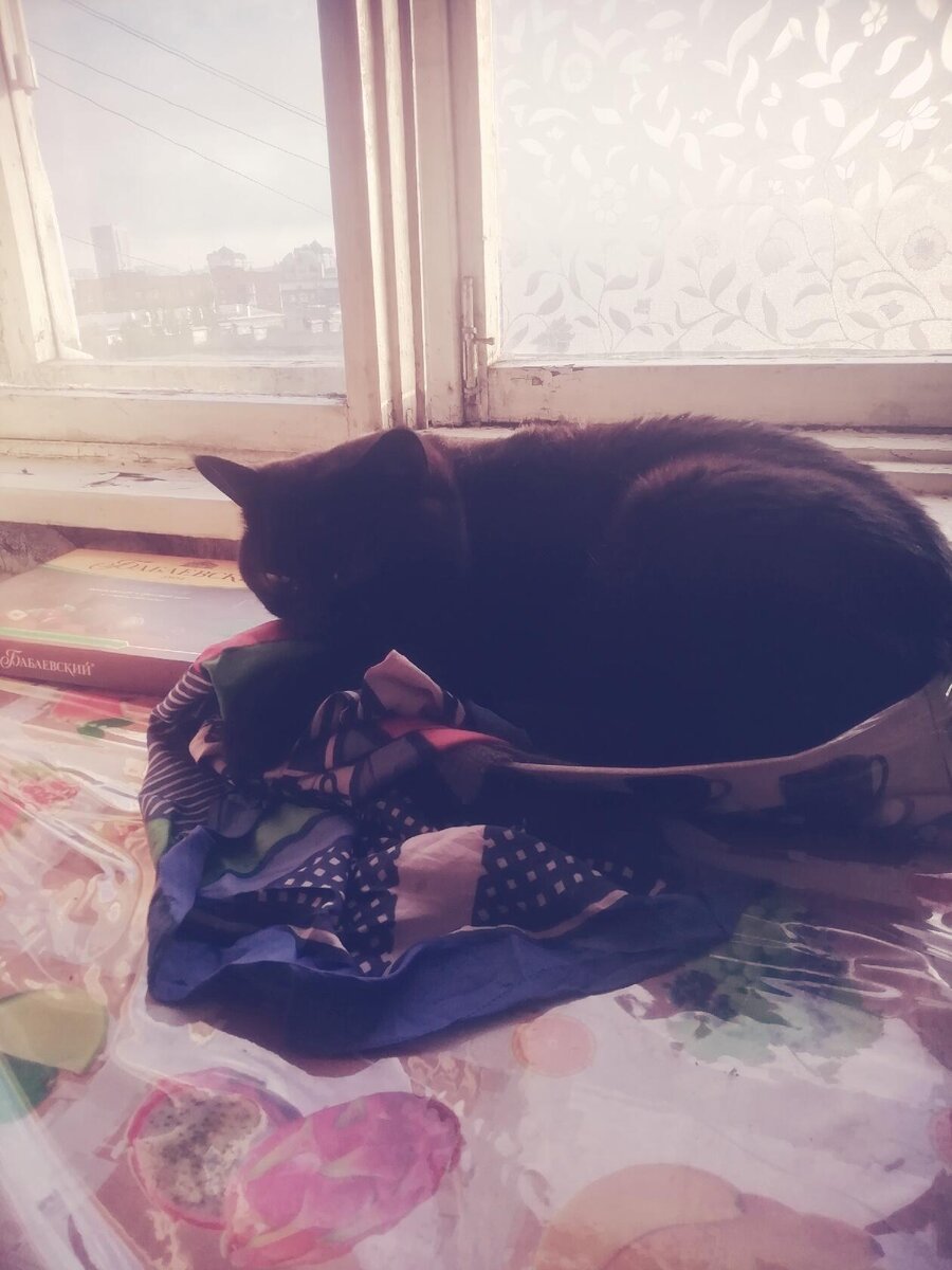 Чёрный Кот внимательно слушает.