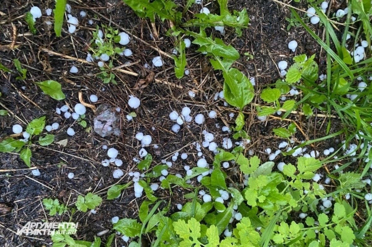    Синоптики рассказали, может ли повториться сильный град в Новосибирске