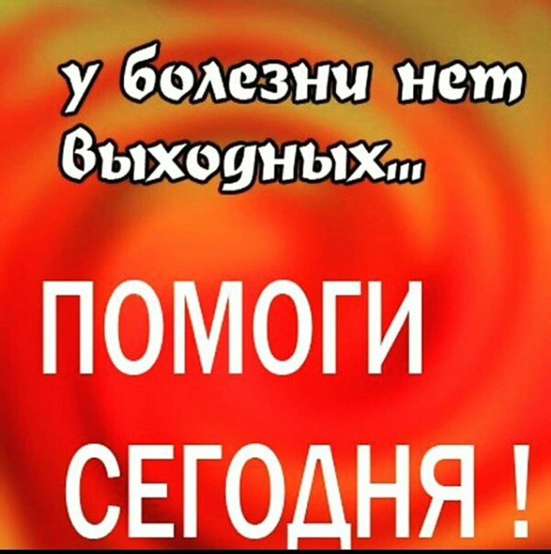 Помогите погасить долг за лекарство для Марфуши с ФИП, долг в клинике также  гасим частями | Кураторы Света и Мила помогаем животным Ростов на Дону и  область. | Дзен